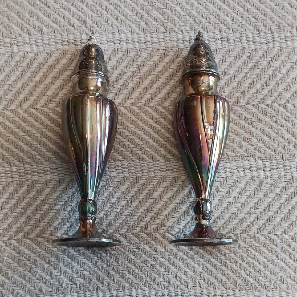 Elegant Silver Salt and Pepper Shakers
